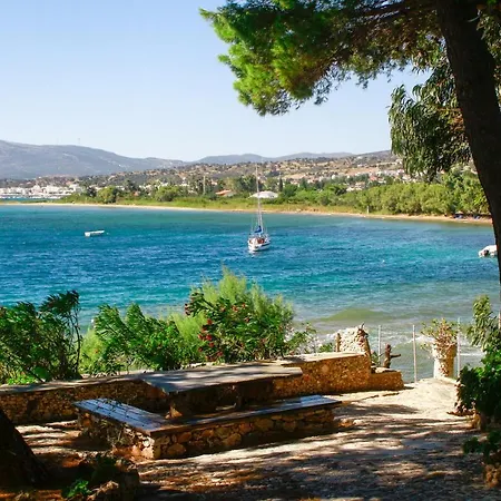 维纳斯海滩酒店 酒店 3*