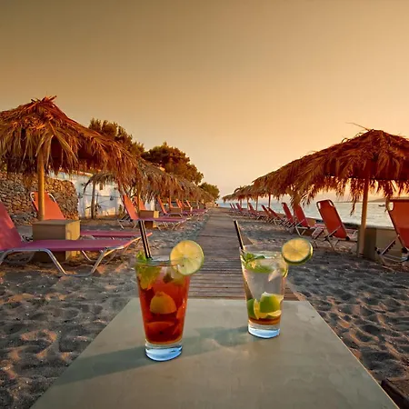 酒店 维纳斯海滩酒店