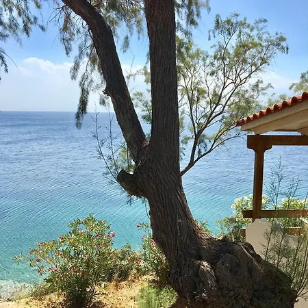Venus -evia Greece