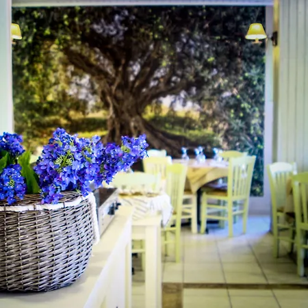 维纳斯海滩酒店 酒店 3*