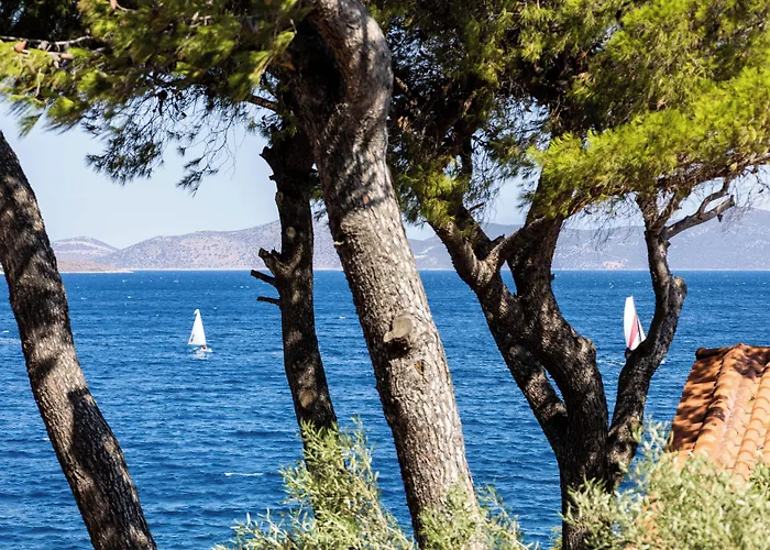 Hotel Venus Nea Styra